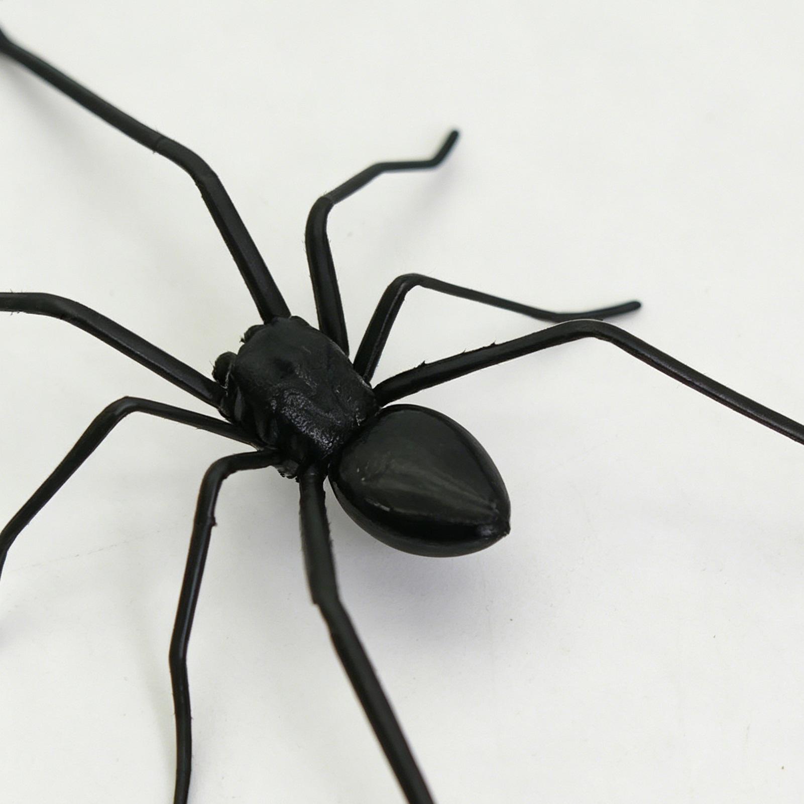 Spider Fridge Magnet Realistic - Home Office Tech Gadgets recension och pris
