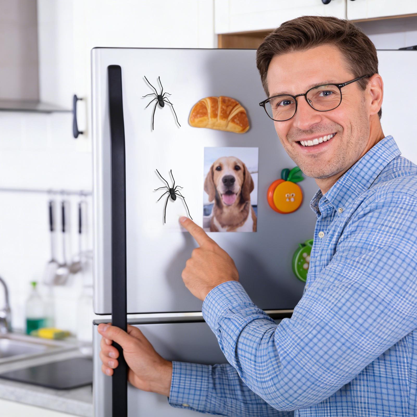 Spider Fridge Magnet Realistic - Home Office Tech Gadgets recension och pris